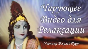 Чарующее видео для  релаксации – ученики Джагад-гуру Сиддхасварупананда Парамахамса (Крис Батлер)