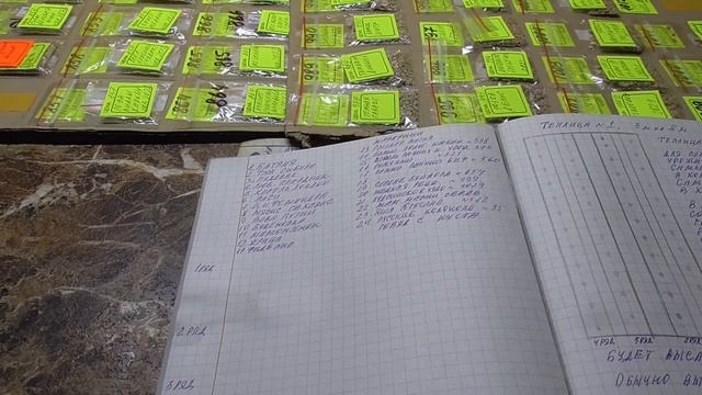 Томаты для теплицы. Какие сорта томатов выбрать для посадки в теплицу?