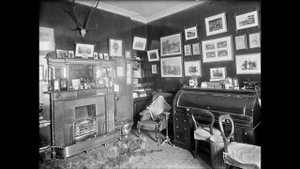 Последний из стаи