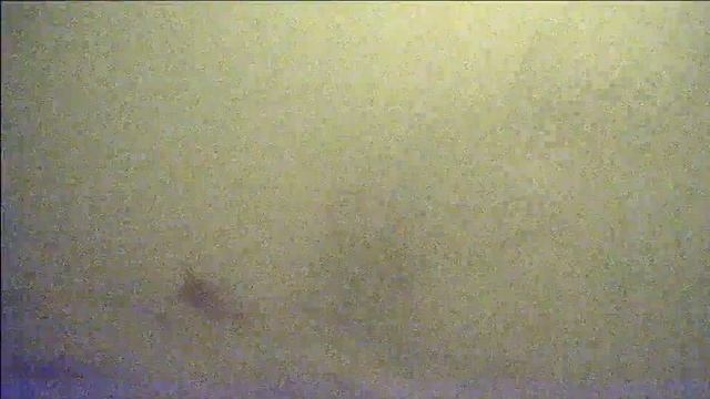 Можайское вдхр. Красновидово. Ловля леща ,подводная съемка. смотреть онлайн