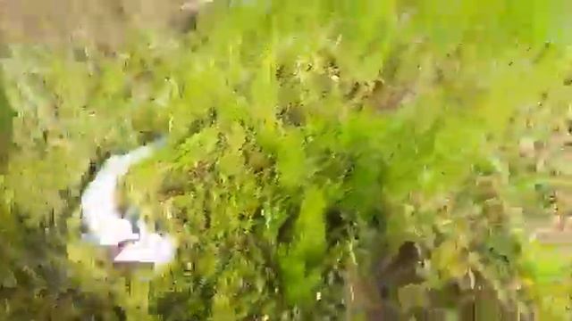 рыбалка в астане смотреть онлайн