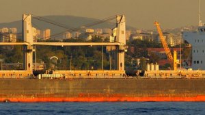 Bulk Carrier Ship THEODORA Goes Through Bosphorus at Istanbul