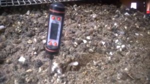 Разведение, выращивание и содержание перепелов и перепелят на глубокой подстилке.