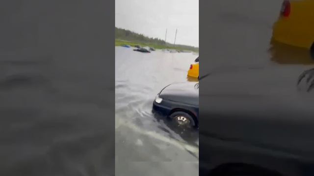 #wildberries потоп минусы электросталь. #2023 смотреть онлайн