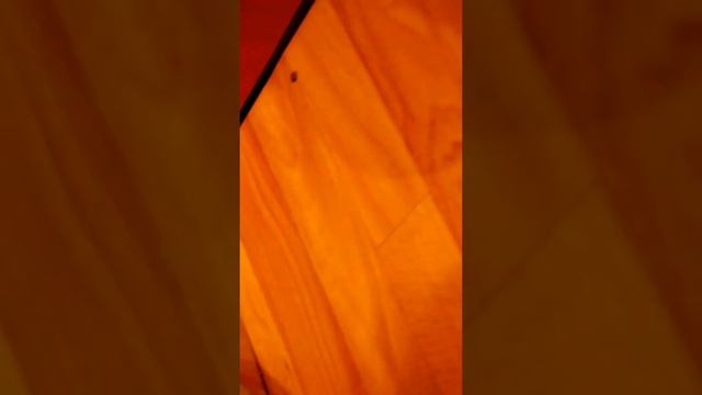 Подтягивание с дополнительным весом 31.5кг смотреть онлайн