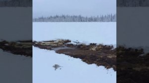 Поиски месторождений алмазов. Тема вездеходы.