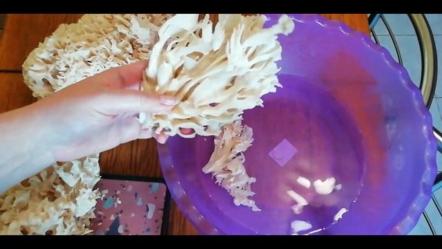 вкусный коралловый гриб