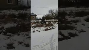 Самодельный снегоход Мотосани с двигателем от альфы 110 куб