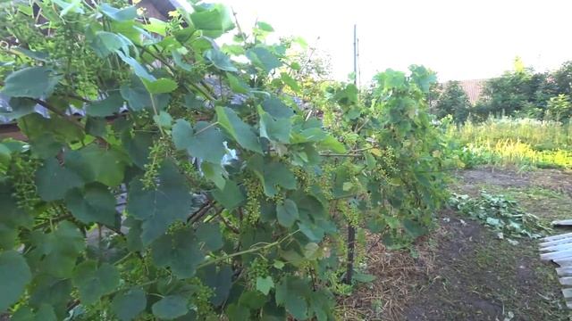 СТАВИМ НОВУЮ ПЕЧЬ|| БАССЕЙН || ВЕСЁЛАЯ КОМПАШКА||ШАШЛЫЧОК смотреть онлайн