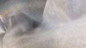 Как укрыть крупнолистную гортензию , как сохранить зимой буддлею Давида, по душам про иву