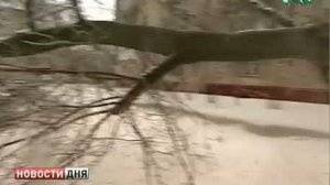 Аэропорт "Домодедово" остался без электричества