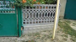 собака прыгает через забор