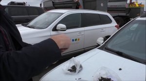 Измерение влажности семян подсолнечника после применения десикантов