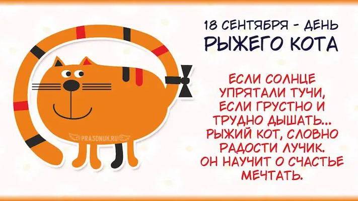 День рыжего кота. Red Cat Day