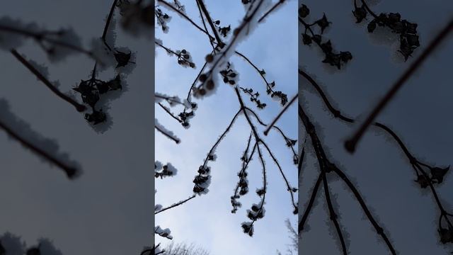 С каждым днем приближение Нового года становится все ощутимее! В воздухе витает атмосфера праздника.