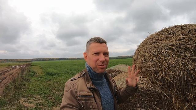 Руна Альгиз. Значения и магические свойства