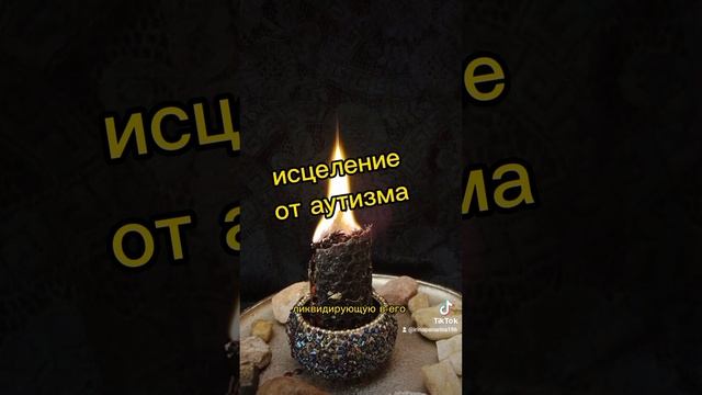 исцеление от аутизма. программа ликвидирующая аутизм