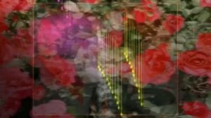 нежно обниму любя - а храмов.храмыч