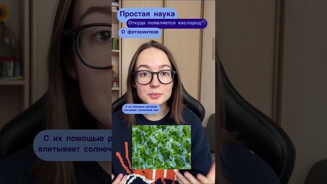 Откуда берётся кислород для дыхания?) Подписка, чтобы не пропустить новые научные факты😊