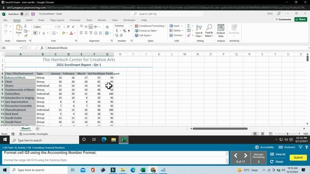 Excel1A Exam | Excel 2A Exam | Complete Academic Help