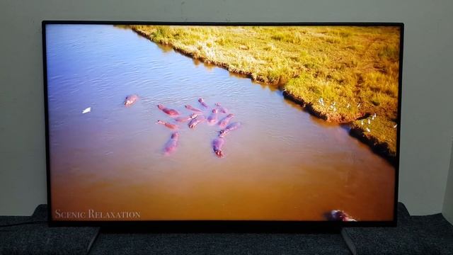 LG 49SM9000PLA в отличном состоянии. смотреть онлайн