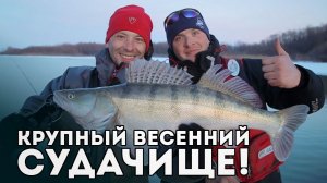 Последний лед! Джиг по открытой воде, весна! Сколько же судака и щуки в этой канаве?!