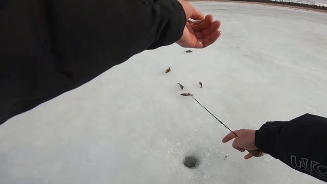 Закрытие зимнего сезона. Ловля окуня на блесну. Зимняя рыбалка на Ладоге смотреть онлайн