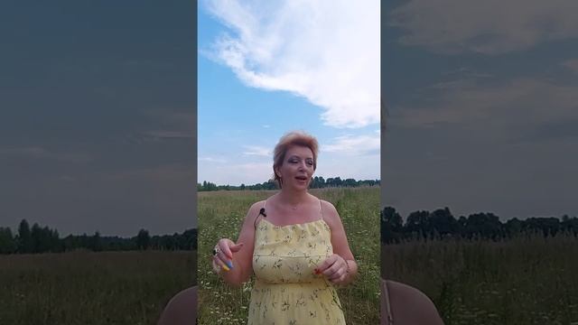 Глухой забор без согласия соседа. Возможно? Ответ здесь! смотреть онлайн