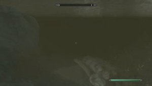 Skyrim золотая рыбка