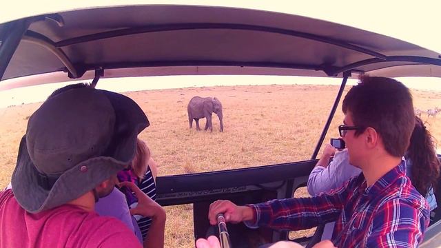 Африка, Кения 2017. Сафари. / Africa, Kenya 2017. Safari. смотреть онлайн