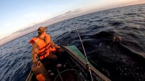 За судаком на Ладогу или троллинг по-деревенски