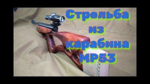 Стрельба из карабина МР 53 стоя с рук на 10 метров