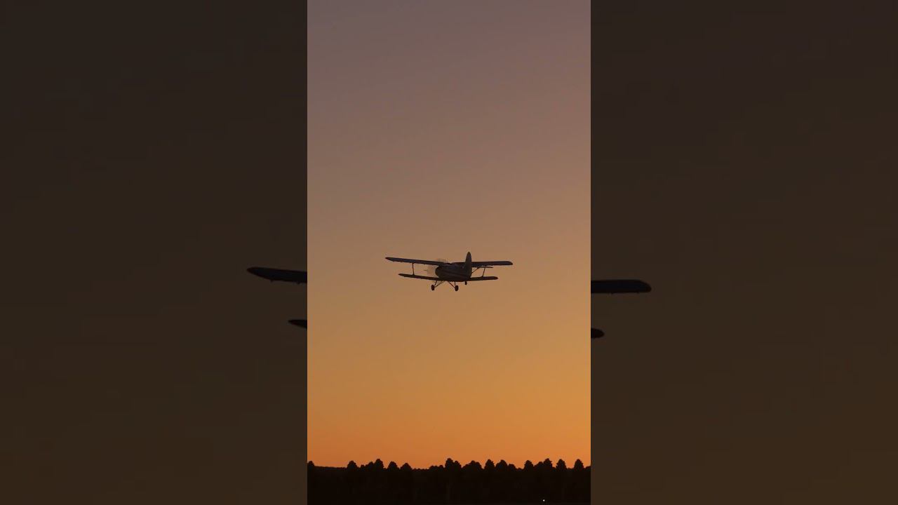 ПЬЯНЫЙ ПИЛОТ КАТАЛ ЛЮДЕЙ ЗА ДЕНЬГИ! КАТАСТРОФА АН-2 ПОД СЕРОВОМ!