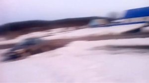 Романовские овцы в Кистенли-Богданово
