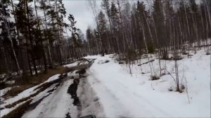 Stels 450 Hisun он же АВМ apache 400 в весеннем лесу