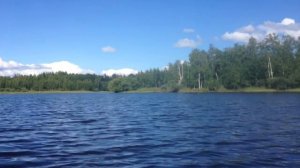 Типичный Сургут - Природа