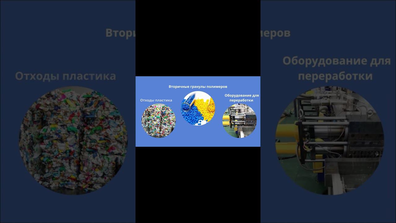 VTORICHKA | Мобильное приложение вторсырье, Бизнес на вторсырье, Переработка мусора, отходов