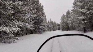 Тайга Патруль 800, первый выезд в сезоне 2021-2022гг. Охочусь на тетеревов.