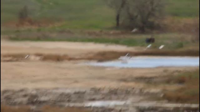 Алтайский край. Озеро Яровое. Весна 2022 смотреть онлайн