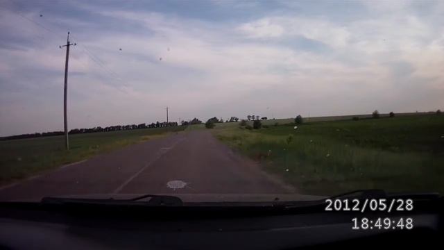 просто лисёнок, ничего особенного смотреть онлайн