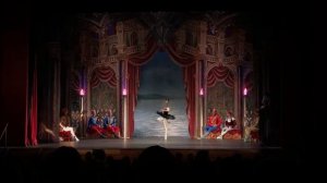 Фуэте Одиллии Лебединое озеро