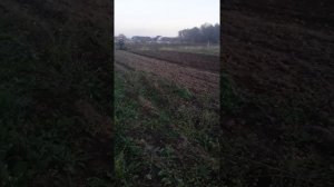 самодельный минитрактор с двумя коробками жигули , пахота 2021