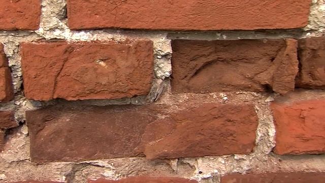 "Человек и вера": один день из жизни монастырского подворья смотреть онлайн