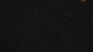 Странный взлом канала Бибигон (13.12.2008)