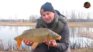 ЛОВЛЯ КАРПА В МАРТЕ НА БОЙЛЫ / ЛОВЛЯ НА ПВА СТИКИ / MARCH CARP SESSION / PVA STICK FISHING
