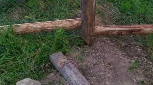 Загон для уток и гусей