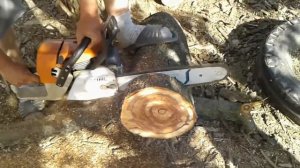 Бензопила Stihl 341в  роботі