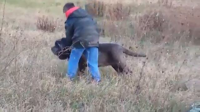 ВИТА ШАМО ОРСО без двух дней 5 месяцев смотреть онлайн