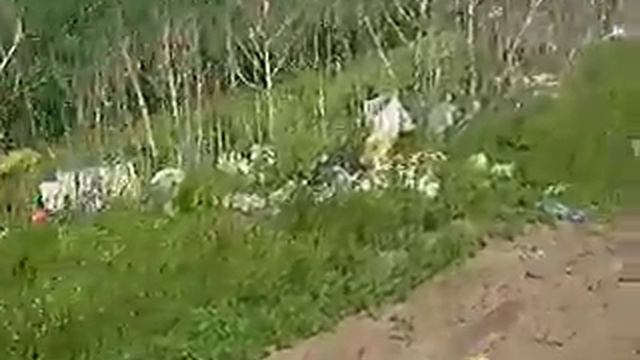мусор в посадках
