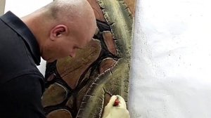 Вот это декор для фасада!!декоративная штукатурка своими руками .